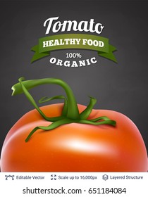 Realistic vector background easy to edit. Cuisine vegetable ingredient.