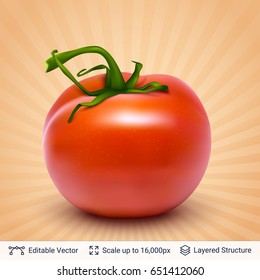 Realistic vector background easy to edit. Cuisine vegetable ingredient.