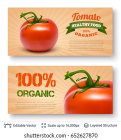 Realistic vector background easy to edit. Cuisine vegetable ingredient.