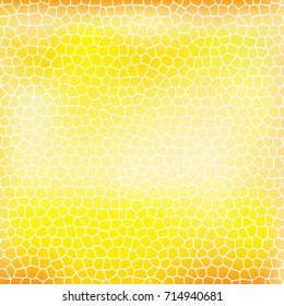 realistic vector background with honeycombs