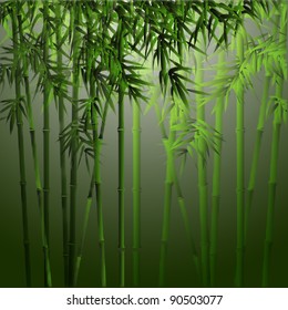 Realistic vector bamboo.Background in asian style