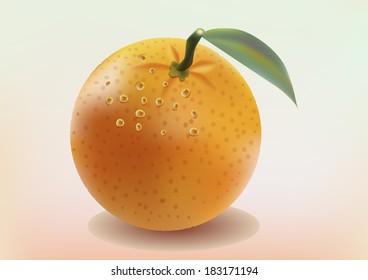 realistic vector banner orange