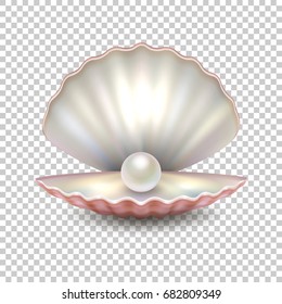 Realistic Vector Beautiful Natural Open Sea Pearl Shell Closeup Isolated On Transparent Background. Design Template, Clipart, Icon Or Mockup In EPS10.