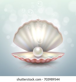 Realistic vector beautiful natural open sea pearl shell closeup with reflection. Design template, clipart, icon or mockup in EPS10.