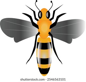 realistic vector bee illustrator design shapes color graphic smart
