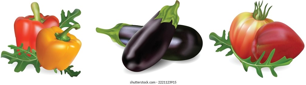 Realistic vector bell pepper, eggplant and tomato on isolated background