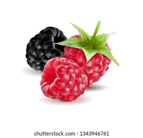 Realistic vector. Blackberries with raspberries set isolated on white background. Macro, 3d illustration