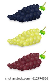 Realistic vector blue, green and red grapes bunch set isolated on white background. Design template in EPS10.