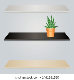 Realistic vector bookshelves in three colors. Retail shelves with cute cactus.