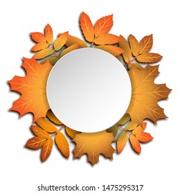 Realistic vector bouquet of autumn leaves orange maple and rowan tree leaf with place for text isolated without background for seasonal sales, promo, autumn greeting card, Thanksgiving day invitation