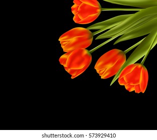 Realistic vector bouquet of tulips on black background