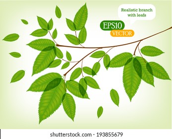 Realistic vector branch of leafs