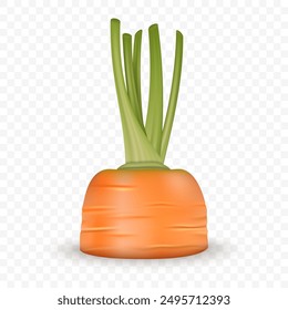 Realistic Vector Carrot Partially Emerging from the Soil. Detailed Carrot with Visible Green Tops and Root Still Embedded in the Ground, Isolated. Food and Agricultural Concept