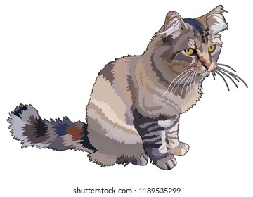 Realistic vector cat striped 