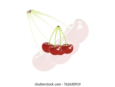 realistic vector cherry