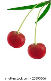 Realistic vector cherry with a leaf on a white background