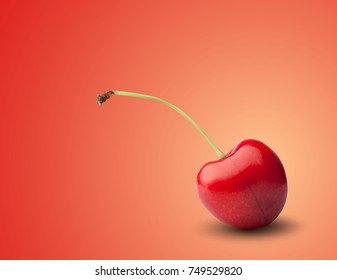 realistic vector cherry on color background