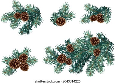 Realistic vector Christmas isolated tree branches