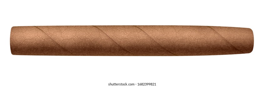 Realistic vector cigar isolated on white background. RGB. Global colors