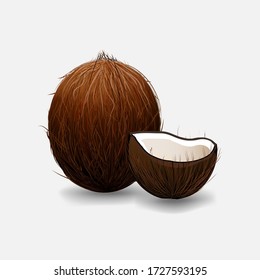 Realistic vector coconut isolated on white background. Whole and a half coconuts with shadows for summer tropical design, advertising template. Healthy vitamin organic food. Vector illustration. EPS10