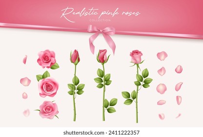 Colección vectorial realista de rosas y pétalos rosados, aislados en blanco. Perfecto para ocasiones románticas como bodas y aniversarios. Ilustración detallada de tarjetas y decoraciones. No IA.