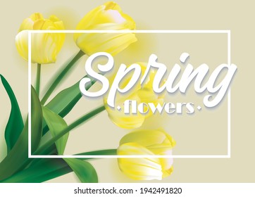 Realistic vector colorful tulips background. Yellow Fresh Spring Flowers