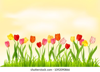 Realistic vector colorful tulips set. Spring flowers and grass background. Bouquet of tulips with place for text.