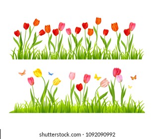 Conjunto de tulipanes coloridos vectoriales realistas. Flores de primavera y fondo de hierba. Bandera estacional aislada