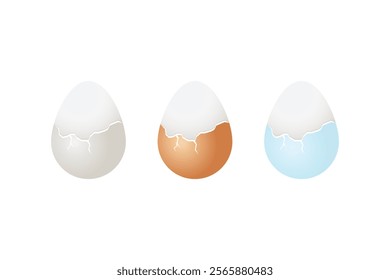 Realistic Vector of Cracked Eggs – White, Brown, and Blue Shell Variations