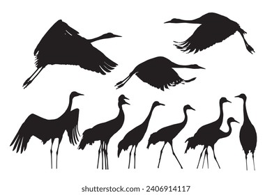 Realistic vector cranes. White background.