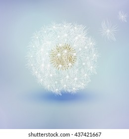 Realistic vector dandelion on a blue background.