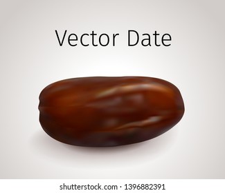 Realistic Vector Dates Fruit isolated on white background. Natural Oriental Sweet Dried Fruit