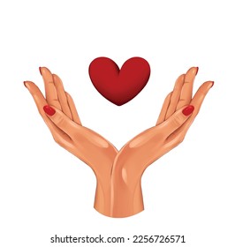 Realistic vector drawing of two hands with a heart, a sign of peace, love and kindness. A supportive hand for those in need. Isolated on a white background.