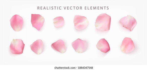 Realistic vector elements set of rose petals. Pink petals of rose flower isolated on white.