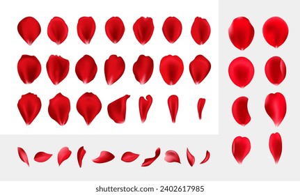 Realistic vector elements set of rose petals. Flowers plants elements leaves red petals collection for beautiful romantic womans detailed vector template