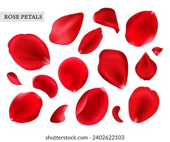Realistic vector elements set of rose petals. Red petals of rose flower isolated on white. isolated on white, vector illustration