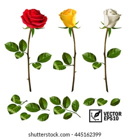 Realistic vector elements set of roses ( leaves, bud and an open flower) with the ability to change the appearance of the flower, as in the constructor