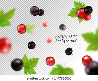 Realistic vector falling red and black currant isolated on transparent background, 3d illustration