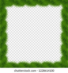 Realistic vector fir-tree square border, frame isolated on transparent background. Template with christmas tree branches and empty copy space for text. New year photo frame, clip art for scrapbook.