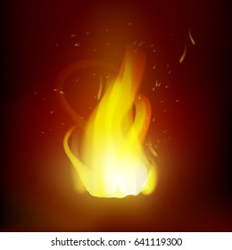 Realistic Vector Flame. Fire or Bonfire Illustration on Dark Background
