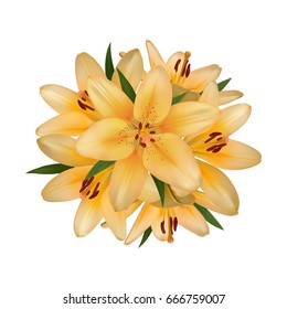 Realistic vector flowers background. Bouquet of orange lilies. Isolated vector illustration on white background.