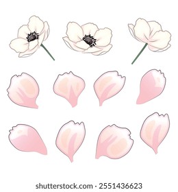 Realistic vector flowers petals buds bouquets. Anemones, peonies pansies magnolia