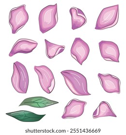 Vector realista flores pétalos buds bouquets. Anémonas, peonías pansies magnolia