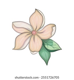 Realistic vector flowers petals buds bouquets. Anemones, peonies pansies magnolia