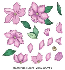 Realistic vector flowers petals buds bouquets. Anemones, peonies pansies magnolia