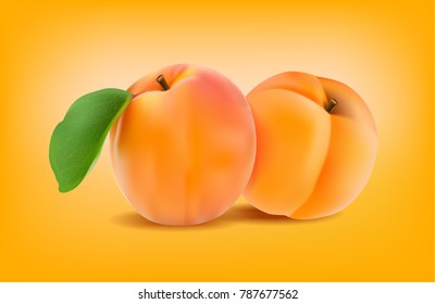 REALISTIC VECTOR FRUIT APRICOT ON ORANGE BACKGROUND