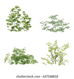 Realistic Vector Garden Grass Bush Shrub with Green Leaves