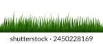 Realistic Vector Grass illustration Isolated on White Background