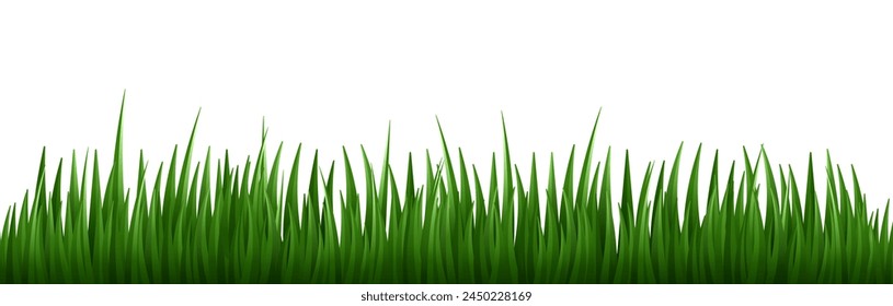 Realistic Vector Grass illustration Isolated on White Background
