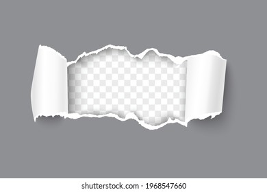 Realistic vector gray torn open paper with rolled sides and space for text on transparent horizontal background. Torn strip of paper with torn edges.